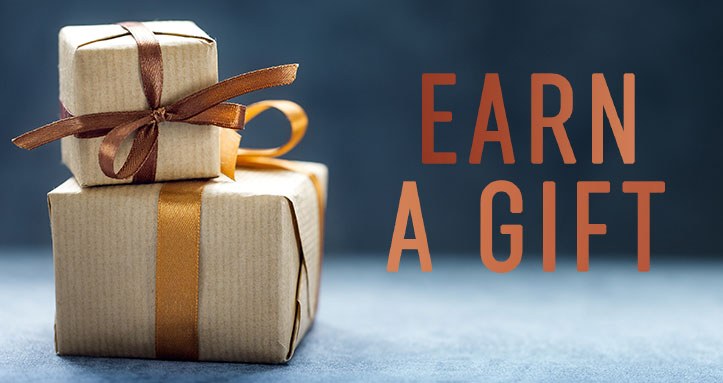 earn a gift promotion